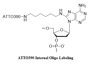 ATTO 390 internal oligo modification